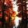 Szarvas, Holt-Körös vízitúra, amikor egy arborétum harsog az ősz színeiben Október 13-15.